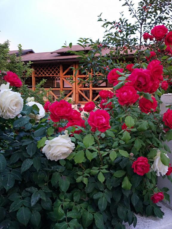 Guest House Albatros チョルポン・アタ エクステリア 写真