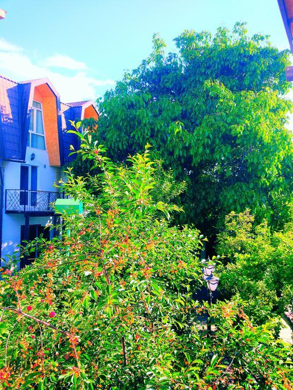 Guest House Albatros チョルポン・アタ エクステリア 写真
