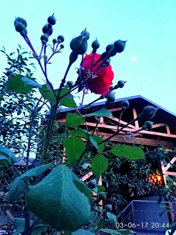 Guest House Albatros チョルポン・アタ エクステリア 写真